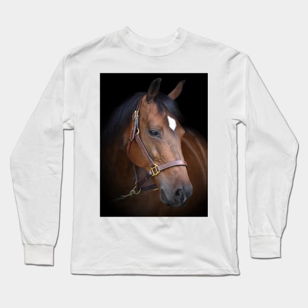 Magnificent Long Sleeve T-Shirt by theartsyeq